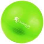SmarterLife Stability Ball Image