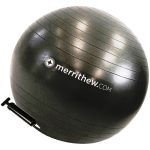 Stott Pilates Stability Ball with Pump Image